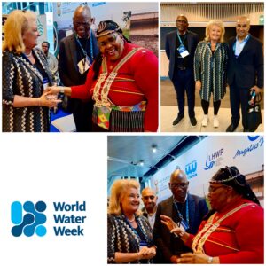 CEO Gabrielle Knufman spreekt met Zuid-Afrikaanse minister van Water tijdens World Water Week in Zweden